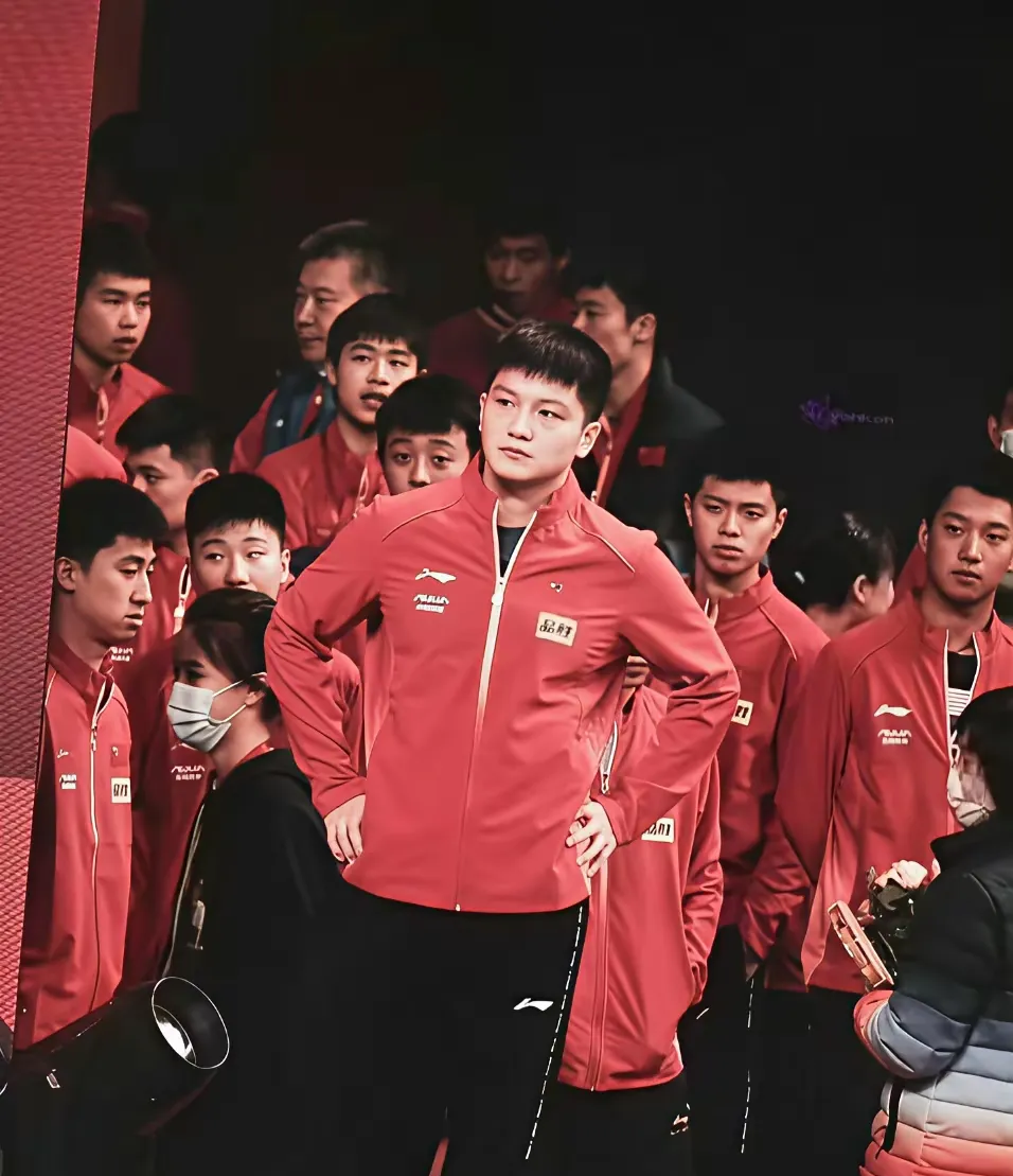 开云体育APP下载-波兰队绝杀韩国队，樊振东统治全场