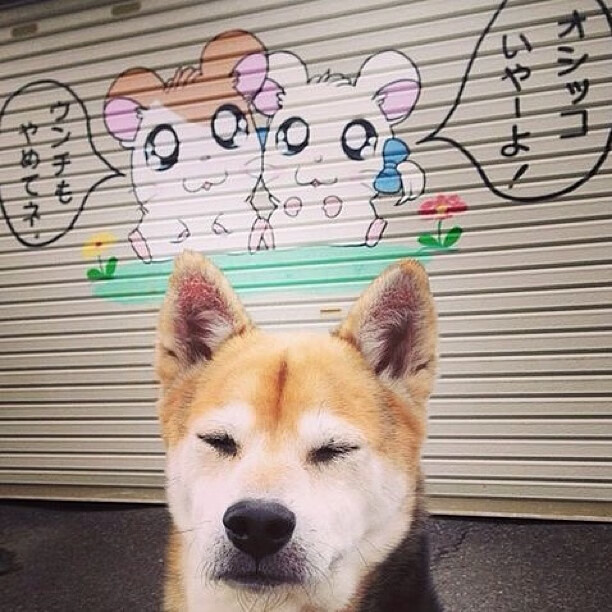 开云sport-当凯尔特人风笛在伯纳乌响起,那些被忽略的英雄,如何用最意外的方式统治顶级舞台