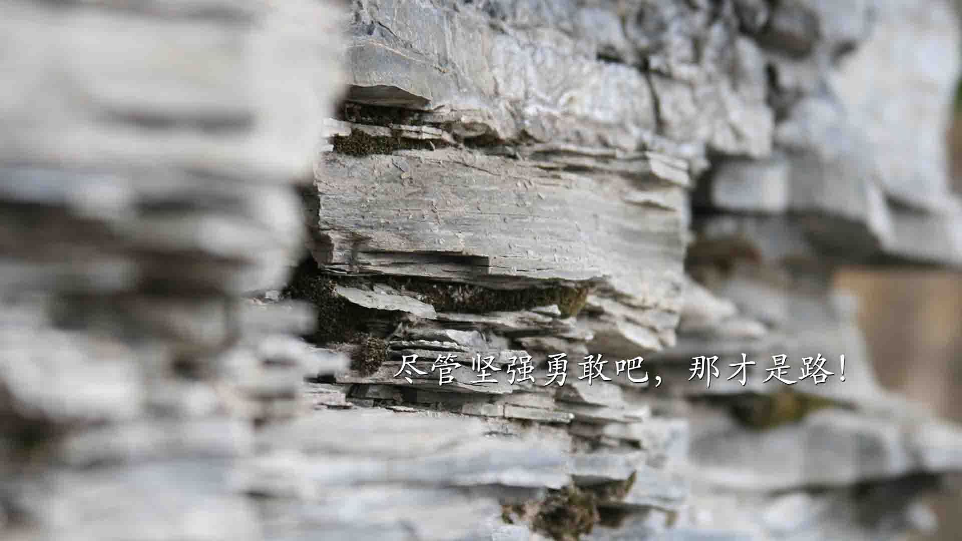 开云体育APP下载-瑞士绝杀背后，赖斯那一夜，怎样用一记心灵暗杀终结了克罗地亚的黄金时代？