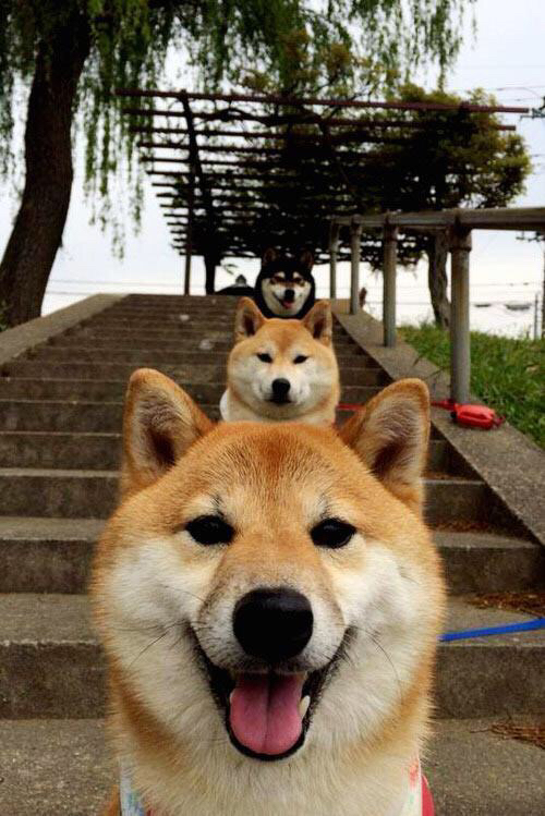 双重奏，梅西的魔法与北非之心的绝地反击