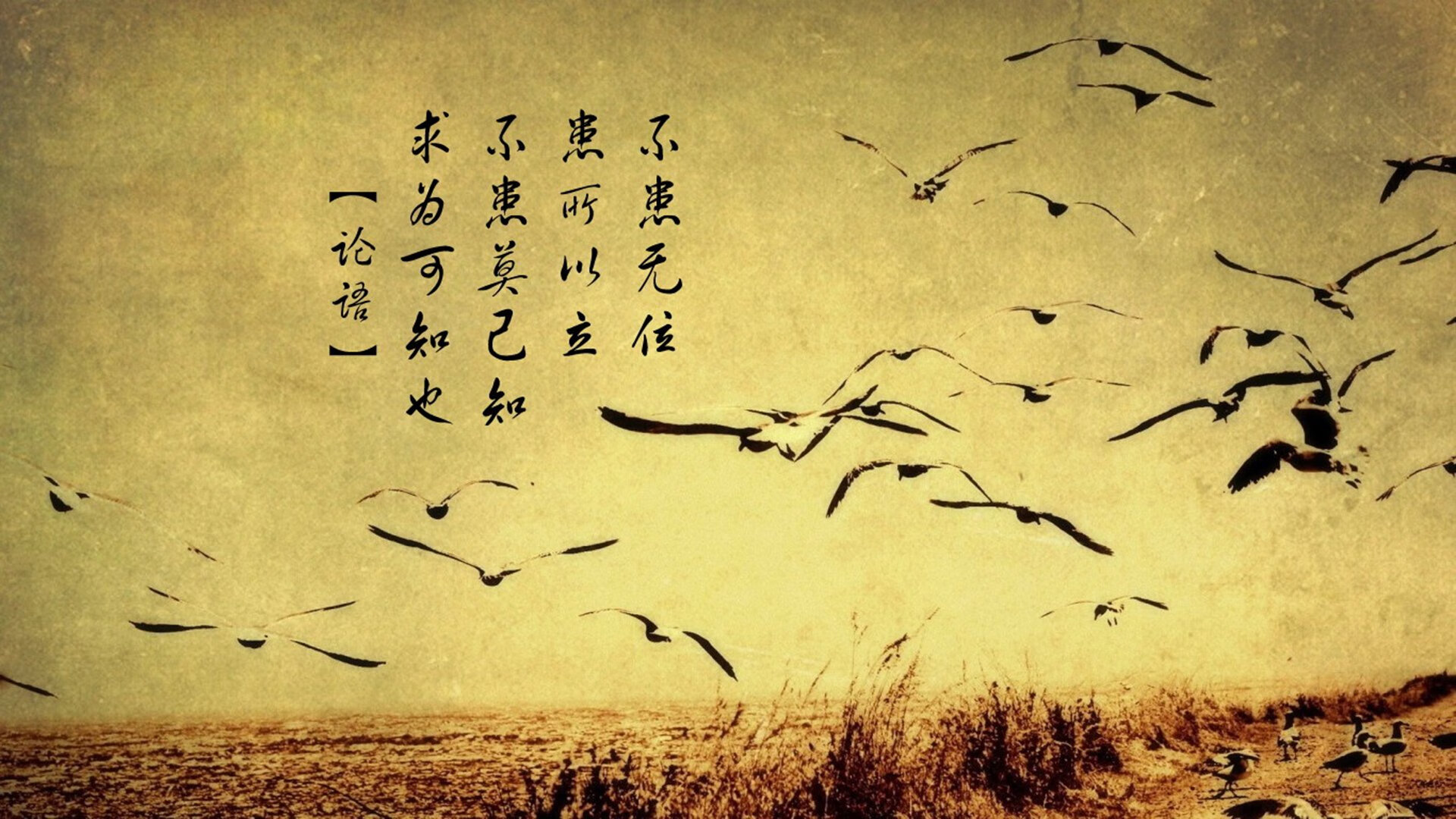 帕尔默,劈开雨幕的星光,扛起一支迷失的苏格兰