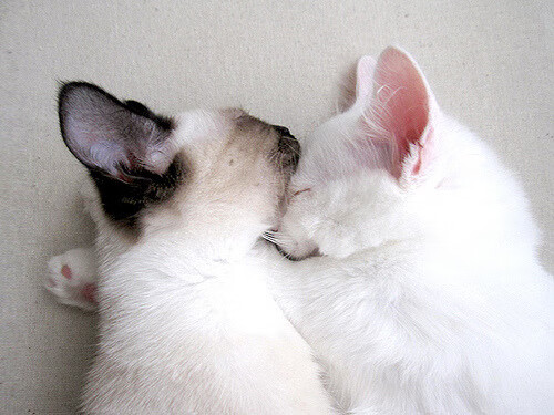 无解,内马尔的魔法与芬兰的雪崩时刻