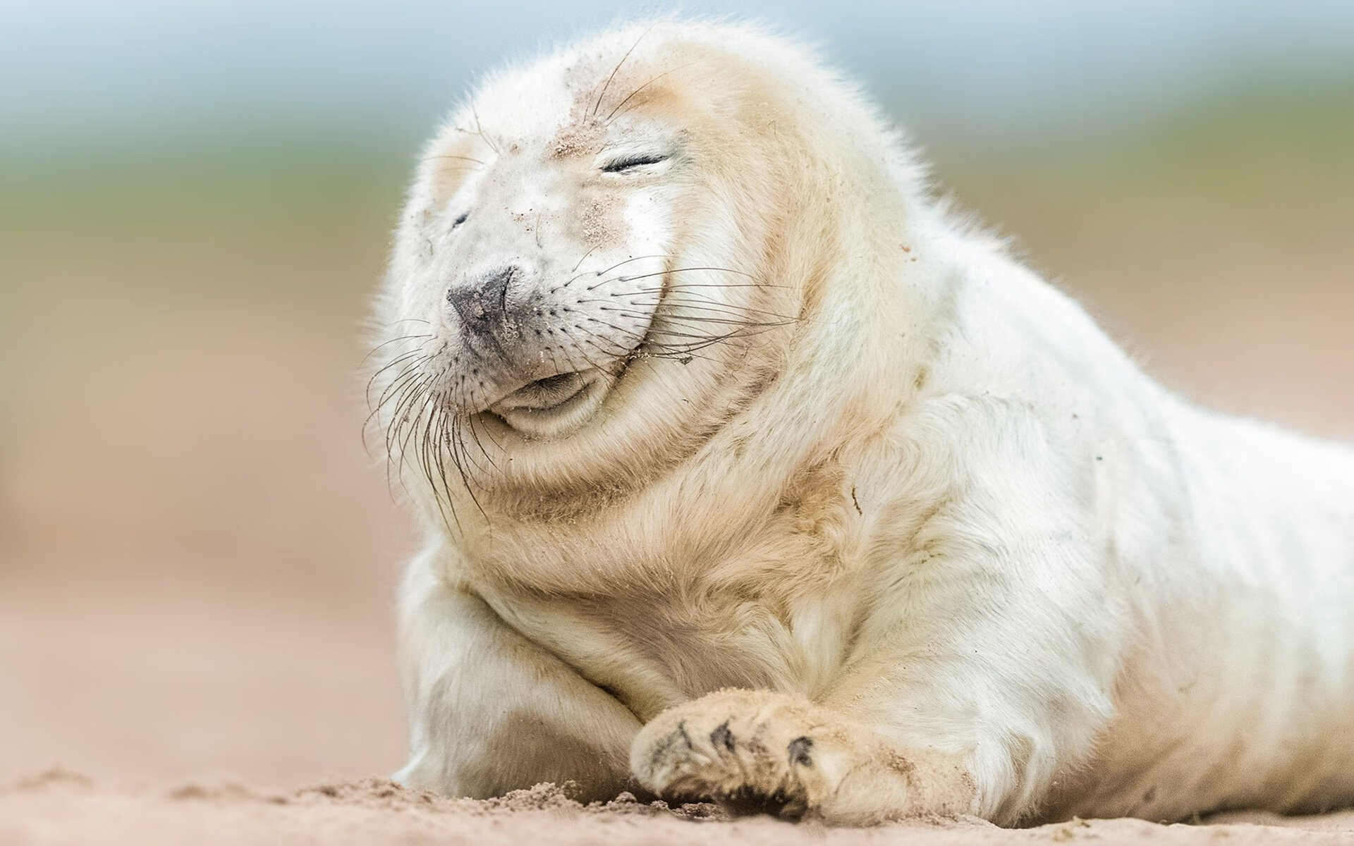 我来为你创作这篇融合体育与文化的独特文章