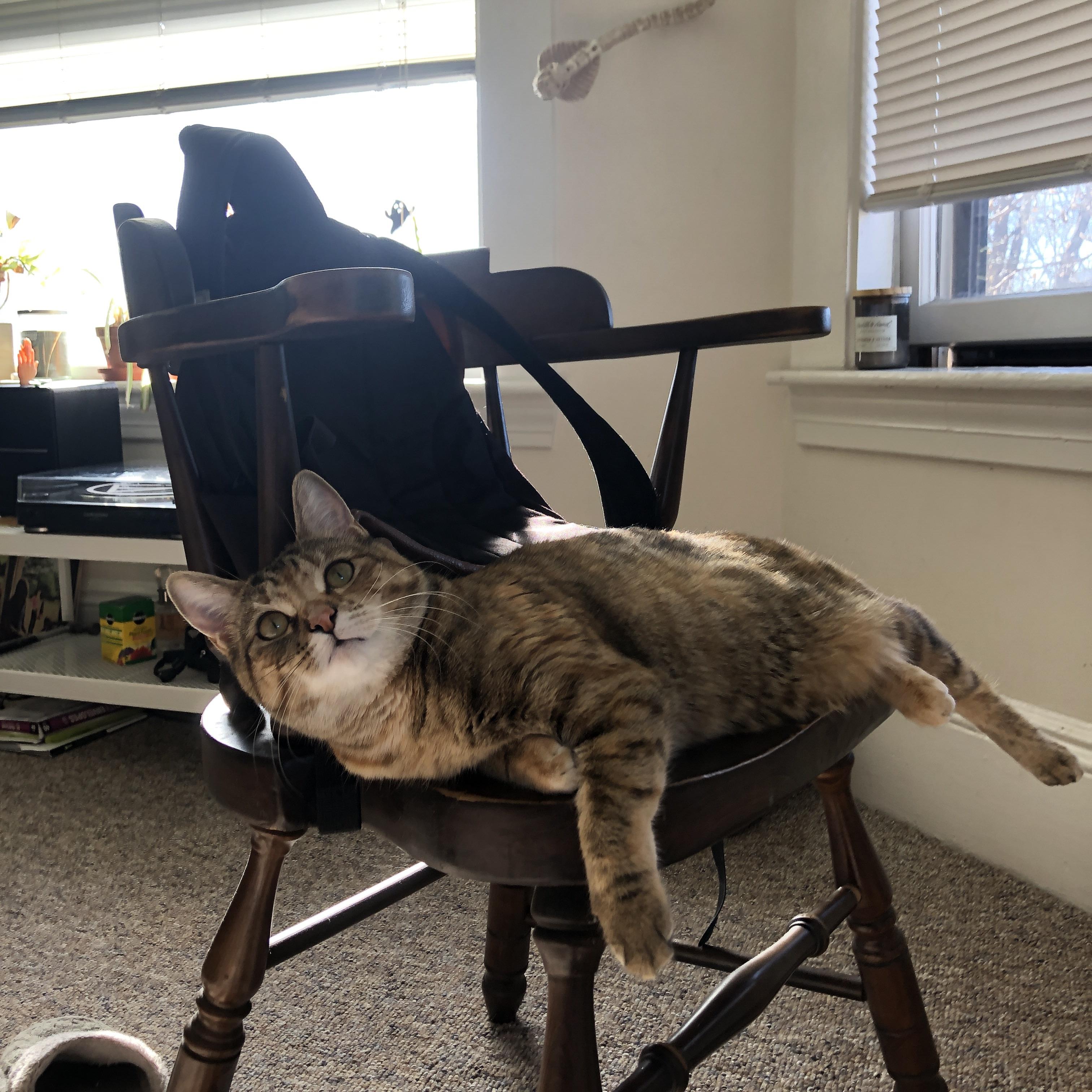 唯一点，抢七夜的塔图姆，如何用三个维度重写几何法则