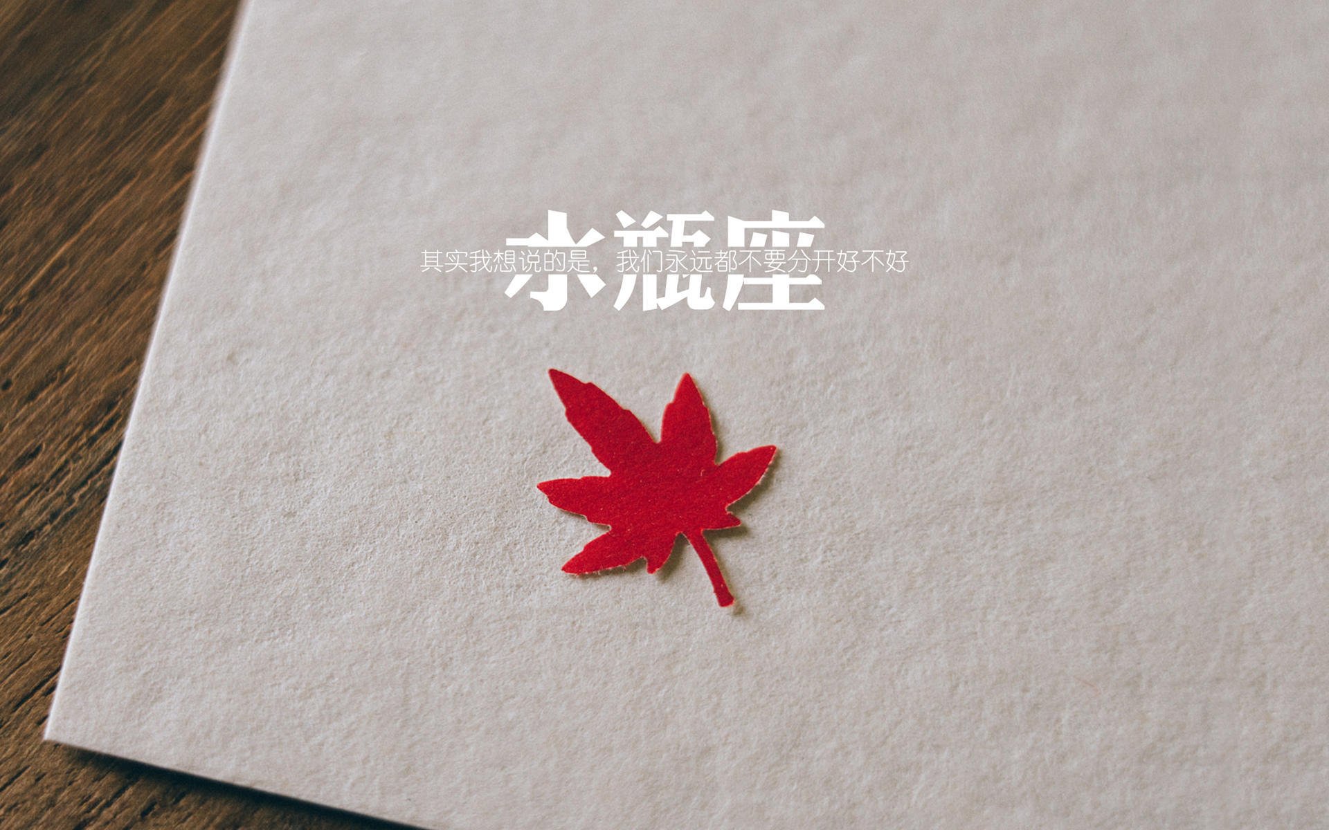 球场上的唯一性,当欧冠与NBA的胜负手在同一个夜晚被定义