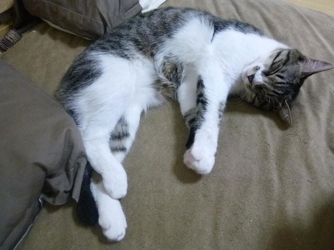 开云平台-暗夜权杖，当恩比德执笔书写世界排名的剧本