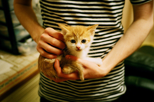 开云体育入口-当希腊怪物席卷球场，字母哥统治级表现带领马刺体系全面压制新疆男篮