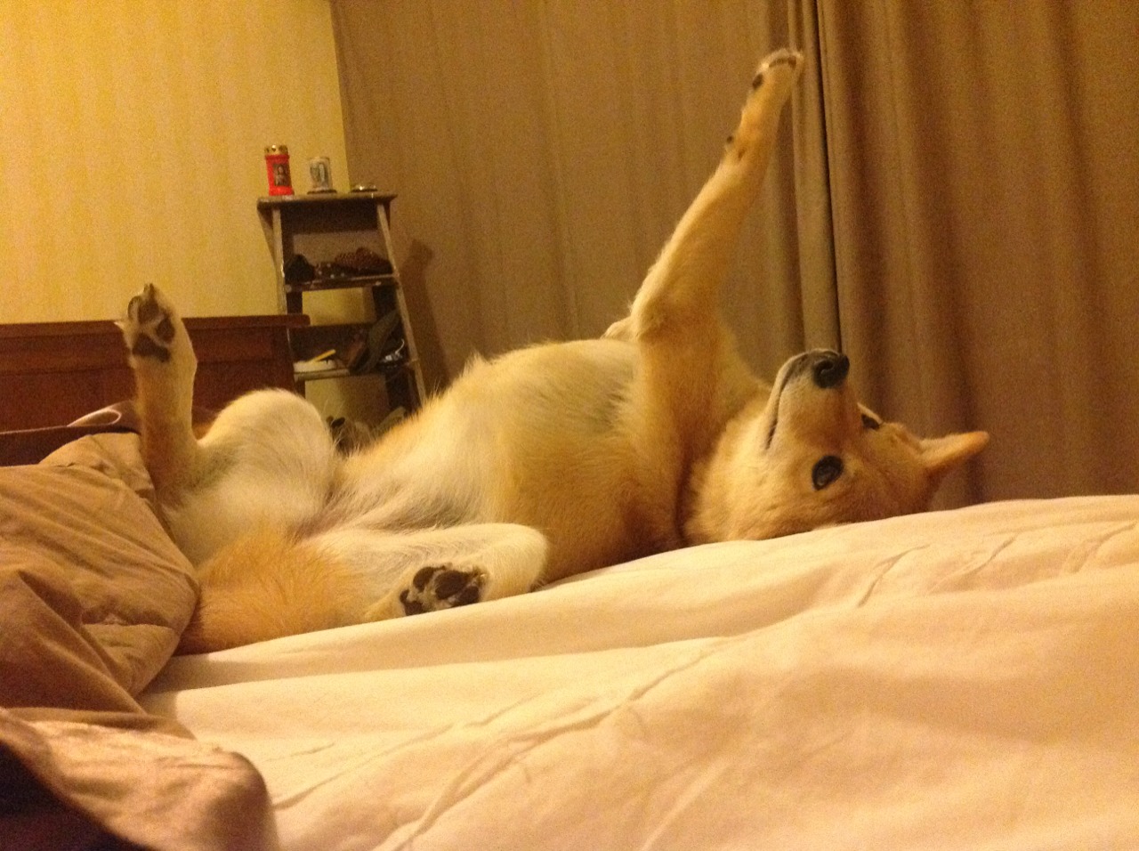 布伦森狂轰46+8创生涯之夜!死神复出关键封盖,篮网1秒险胜爵士