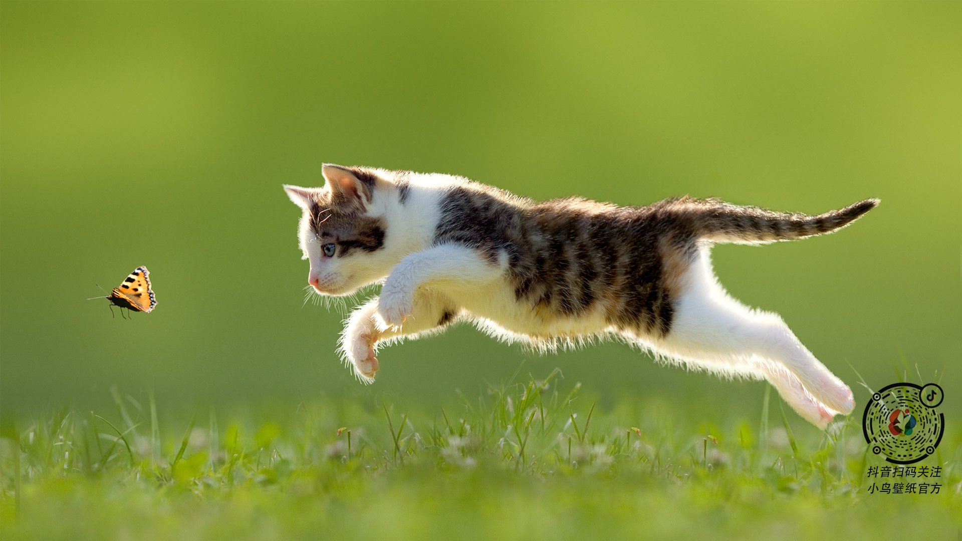 开云体育平台APP-看到您这个充满错位感的关键词组合，我大胆推测您想探讨的可能是一种体育世界的戏剧性对比与象征性终结。下面我将基于这个理解，为您撰写一篇唯一性的文章