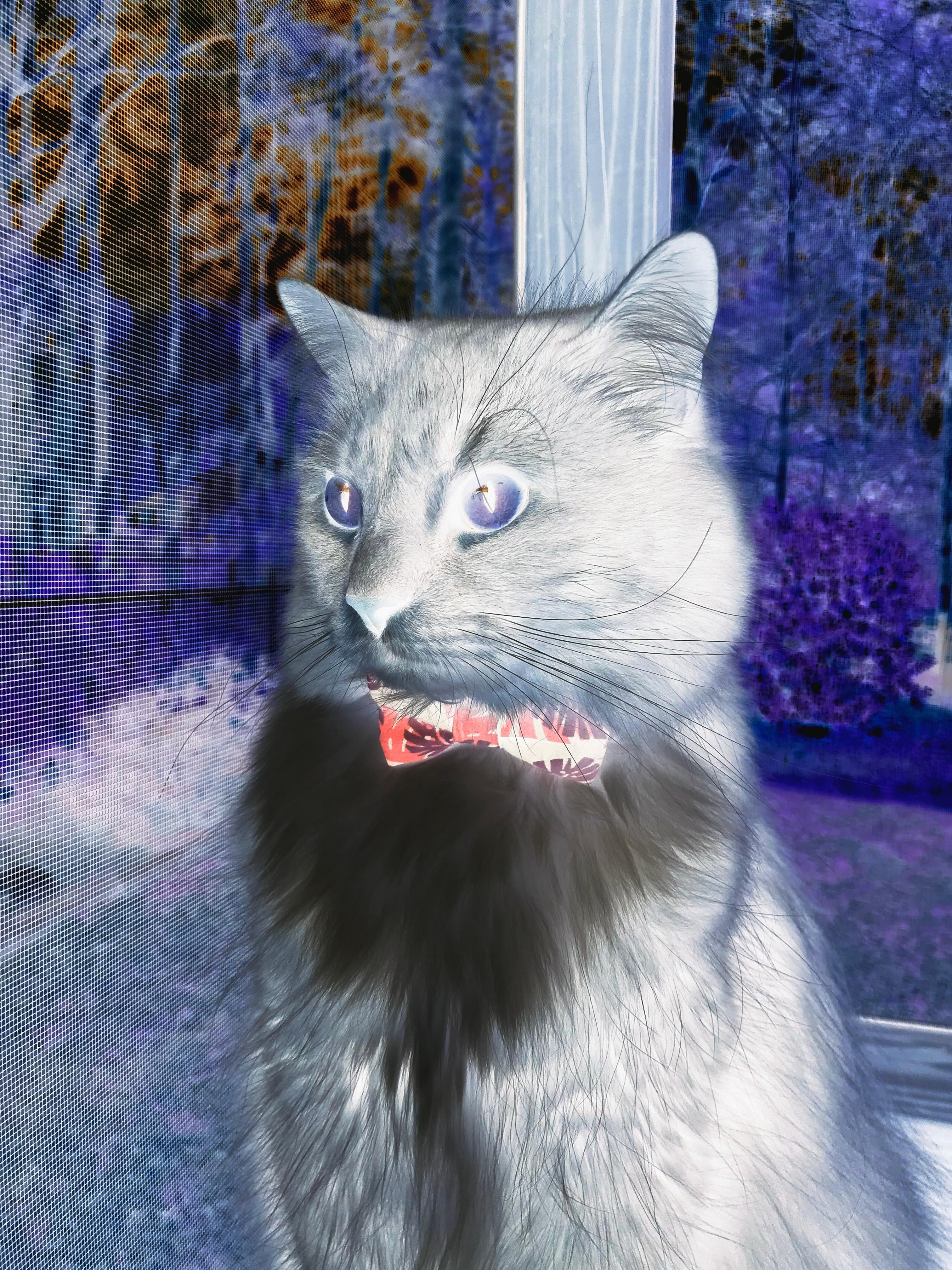 血色棋盘，当掘金用高原铁律凿穿奇才的星火棋盘—一场定义赛季走向的排名绞杀战