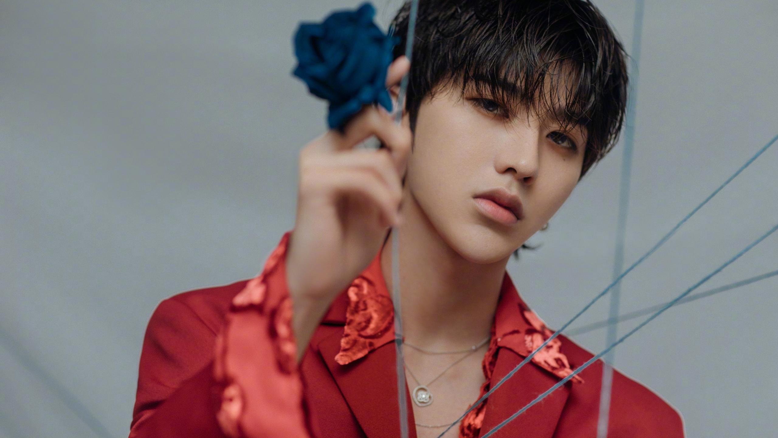 刀锋时刻，班凯罗关键回合拒绝断电，黄蜂蛰伤森林狼