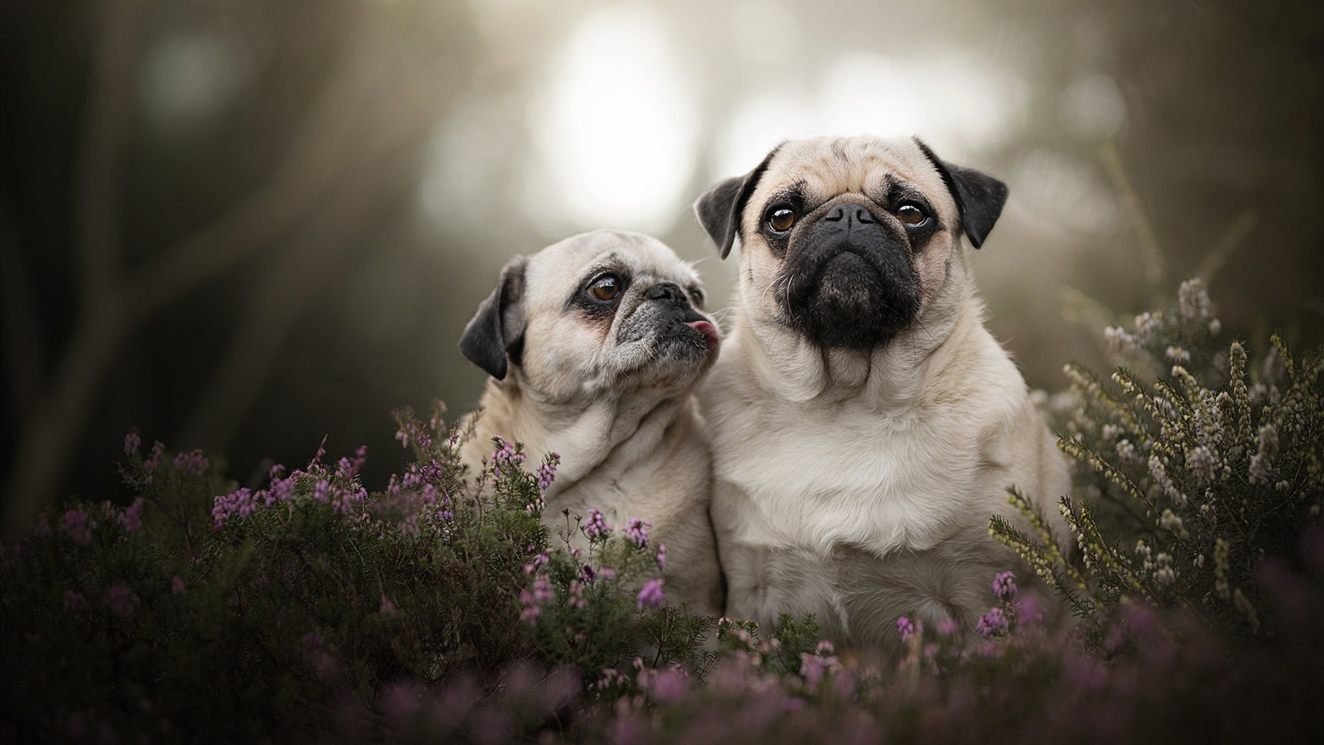 末节风暴！无名英雄巴斯托尼的致命十五分钟击碎巴萨美梦