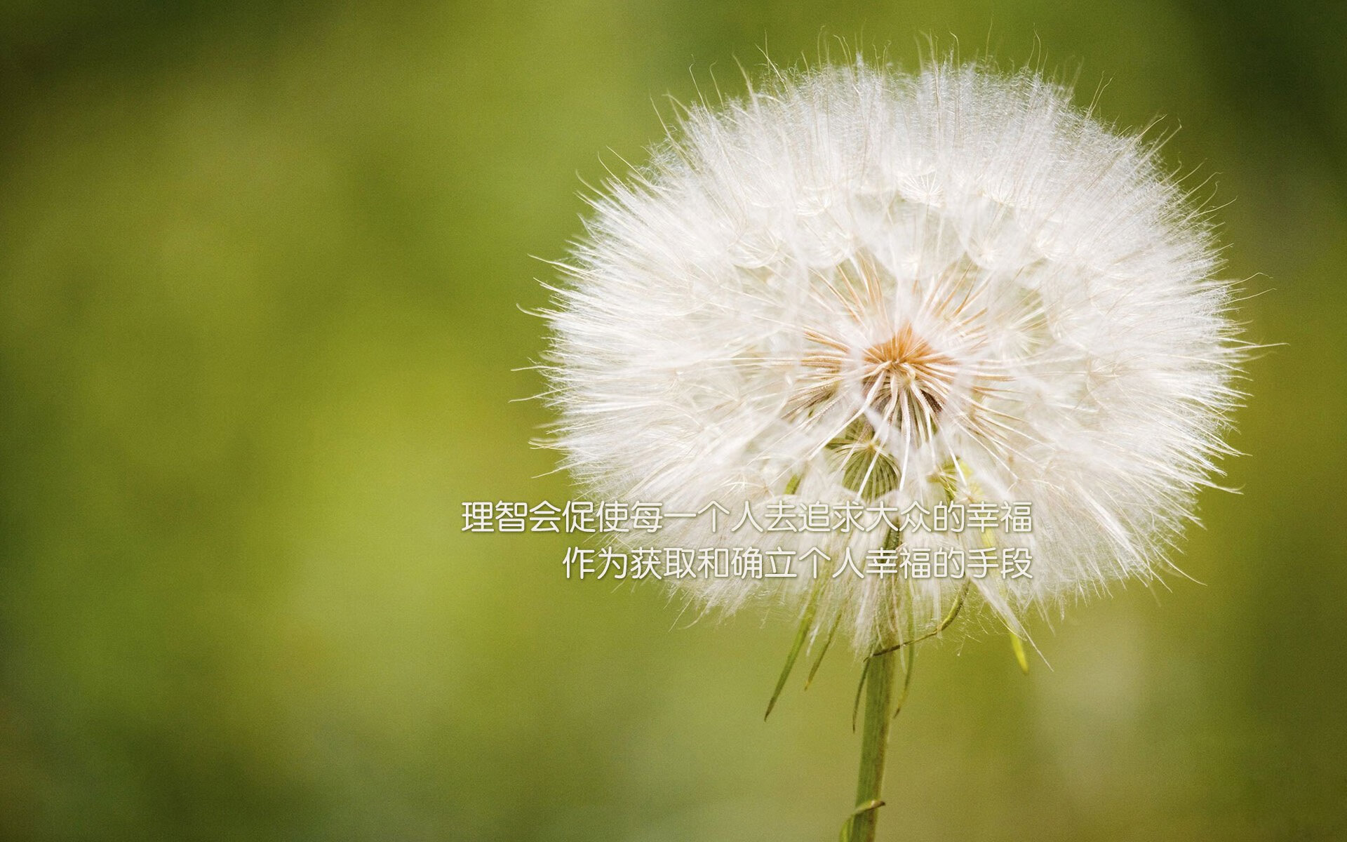 开云体育中国-蓝衣军团的宿命之战,2026世界杯H组焦点战,意大利险胜韩国,苏亚雷斯以灵魂导演绝杀时刻