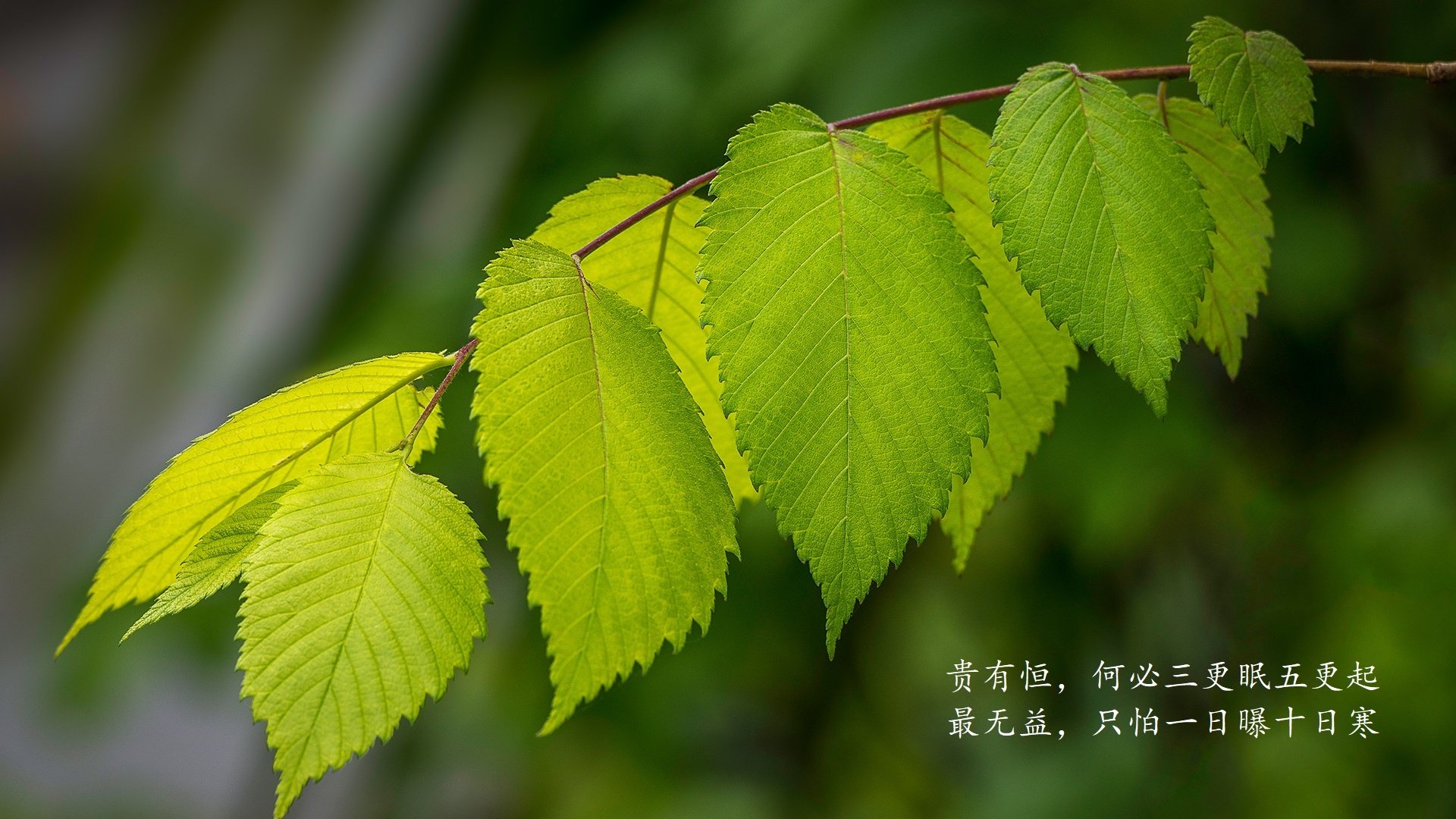 华沙之夜，2026世界杯G组生死战，波兰绝杀英格兰，塔雷米封神之夜改写命运
